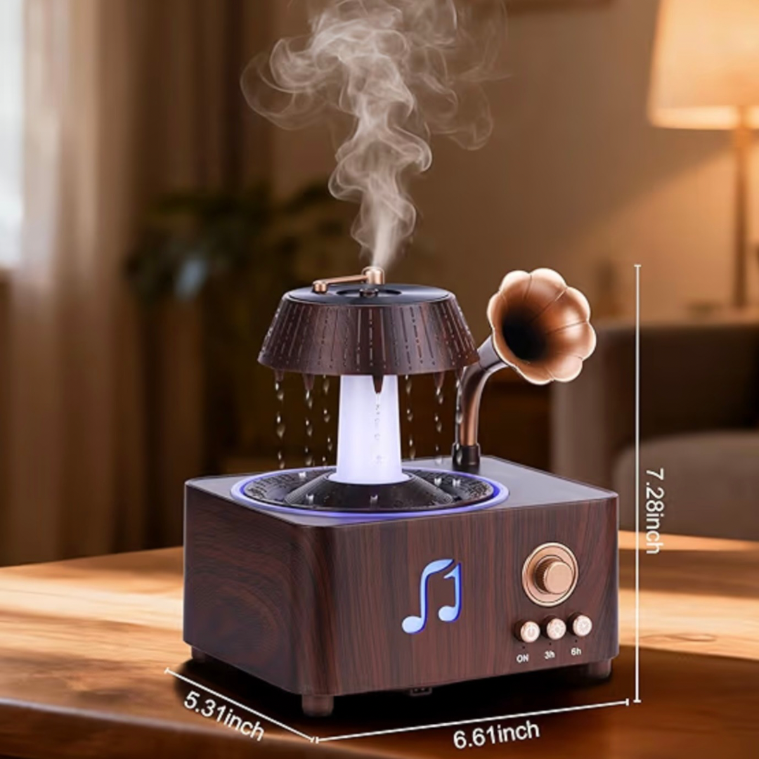 Vintage Record Player Diffuser